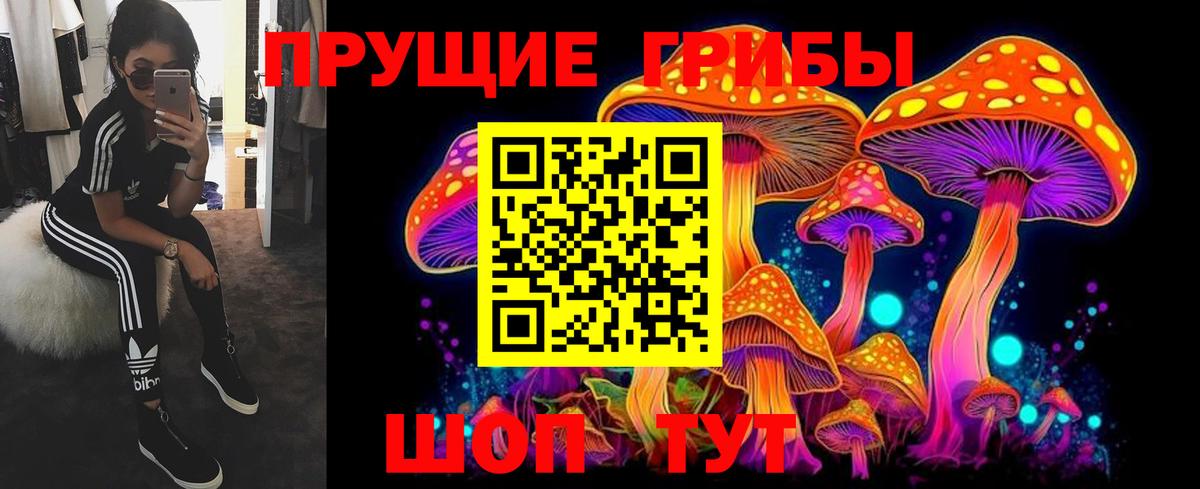 Галлюциногенные грибы Cubensis Семёнов